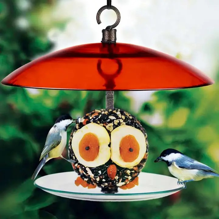 360 Degree Petite Seed Cylinder Feeder | Mosaic Birds