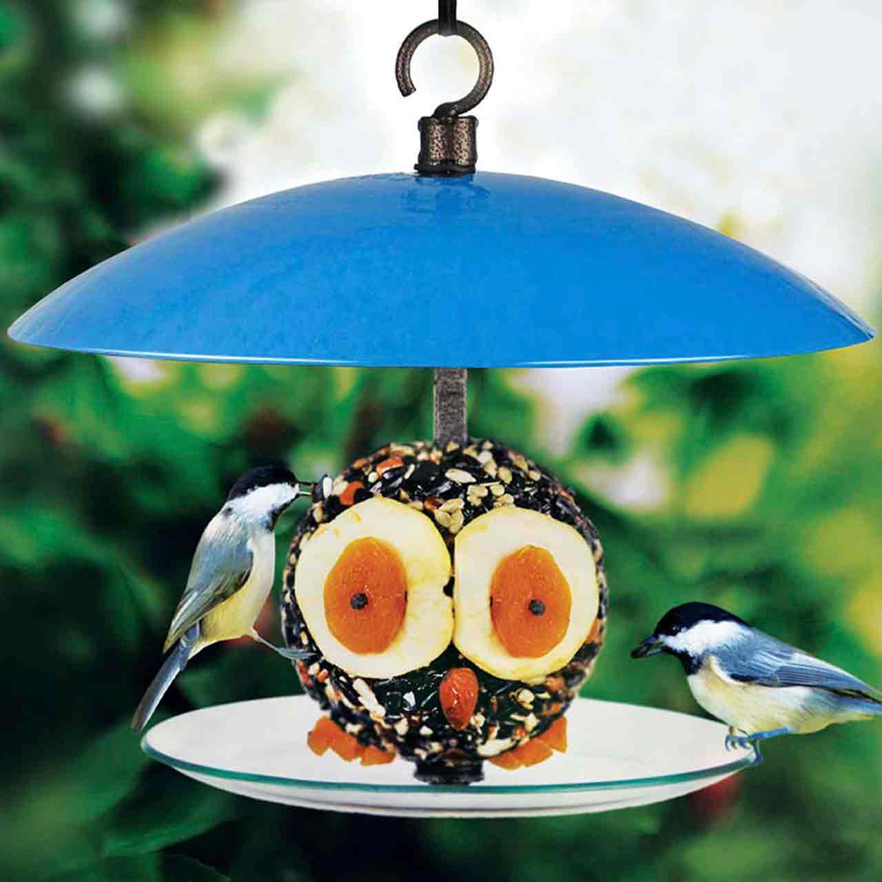 360 Degree Petite Seed Cylinder Feeder | Mosaic Birds