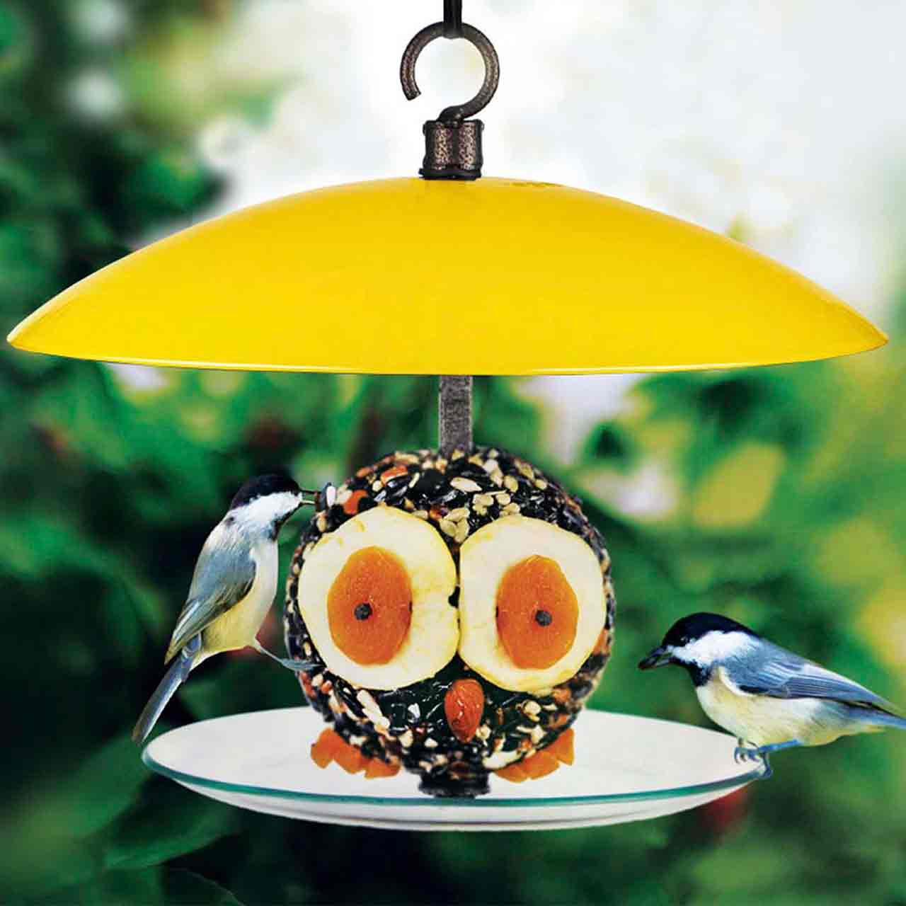 360 Degree Petite Seed Cylinder Feeder | Mosaic Birds
