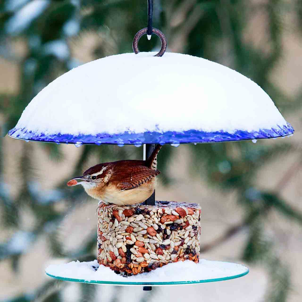 360 Degree Petite Seed Cylinder Feeder | Mosaic Birds