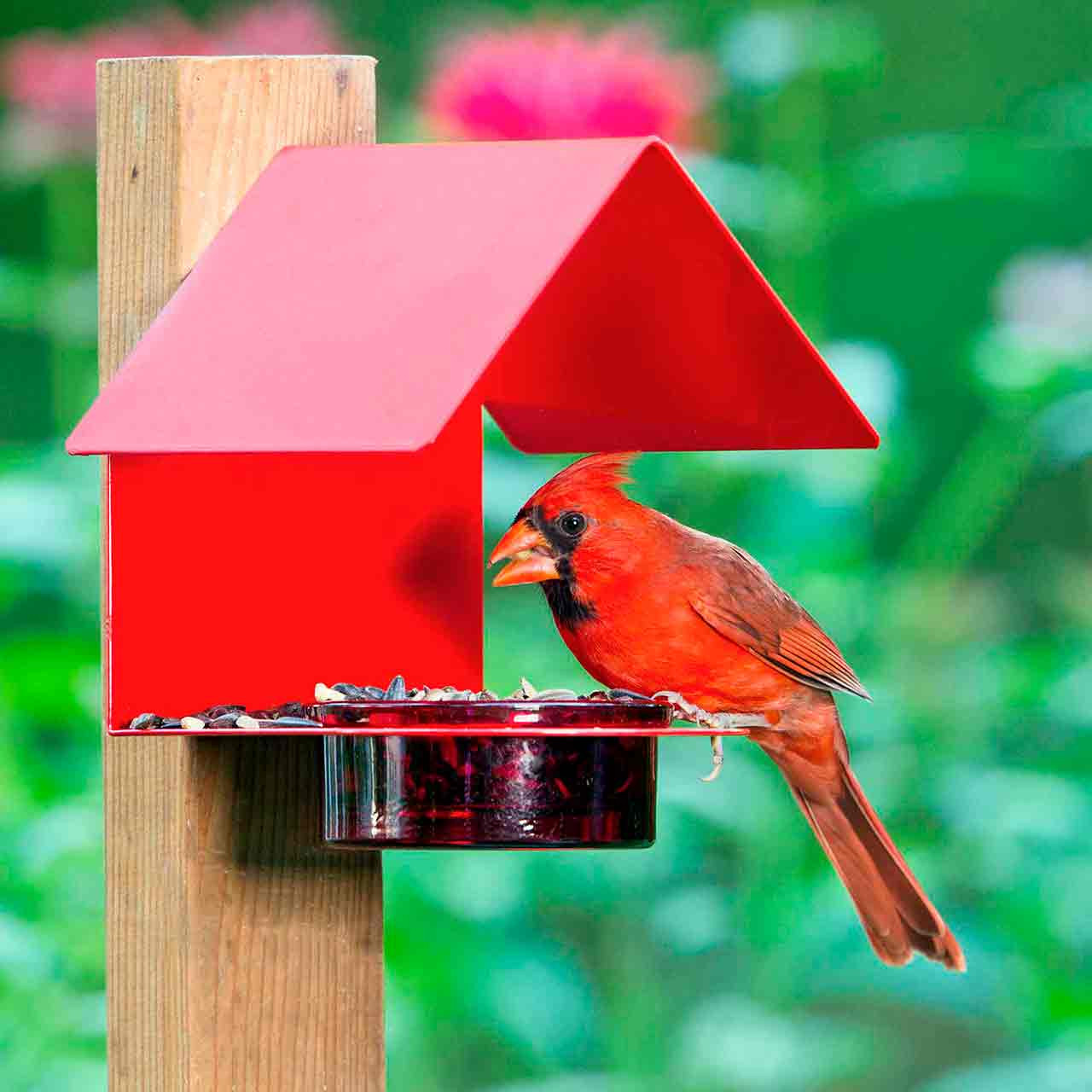 Cottage Bird Feeder | Mosaic Birds