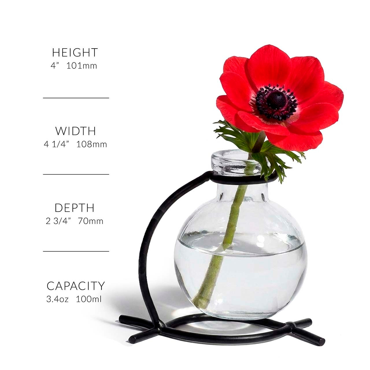 Casablanca Glass Vase & Metal Stand | Couronne Co Shop