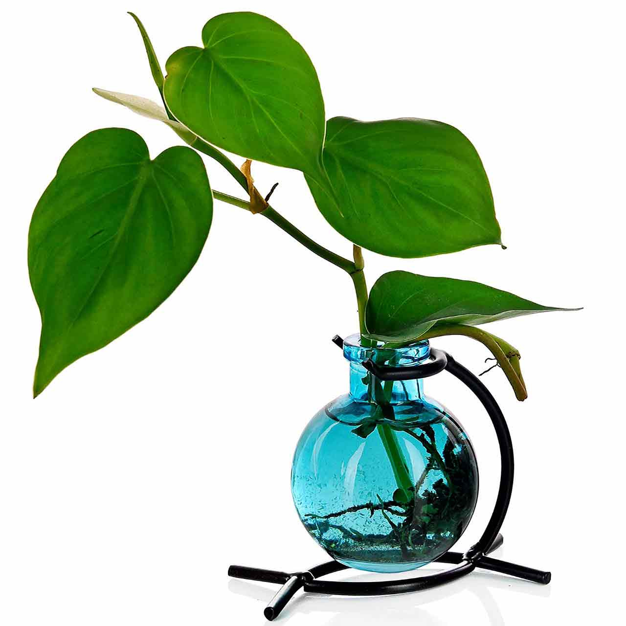 Casablanca Glass Vase & Metal Stand | Couronne Co Shop