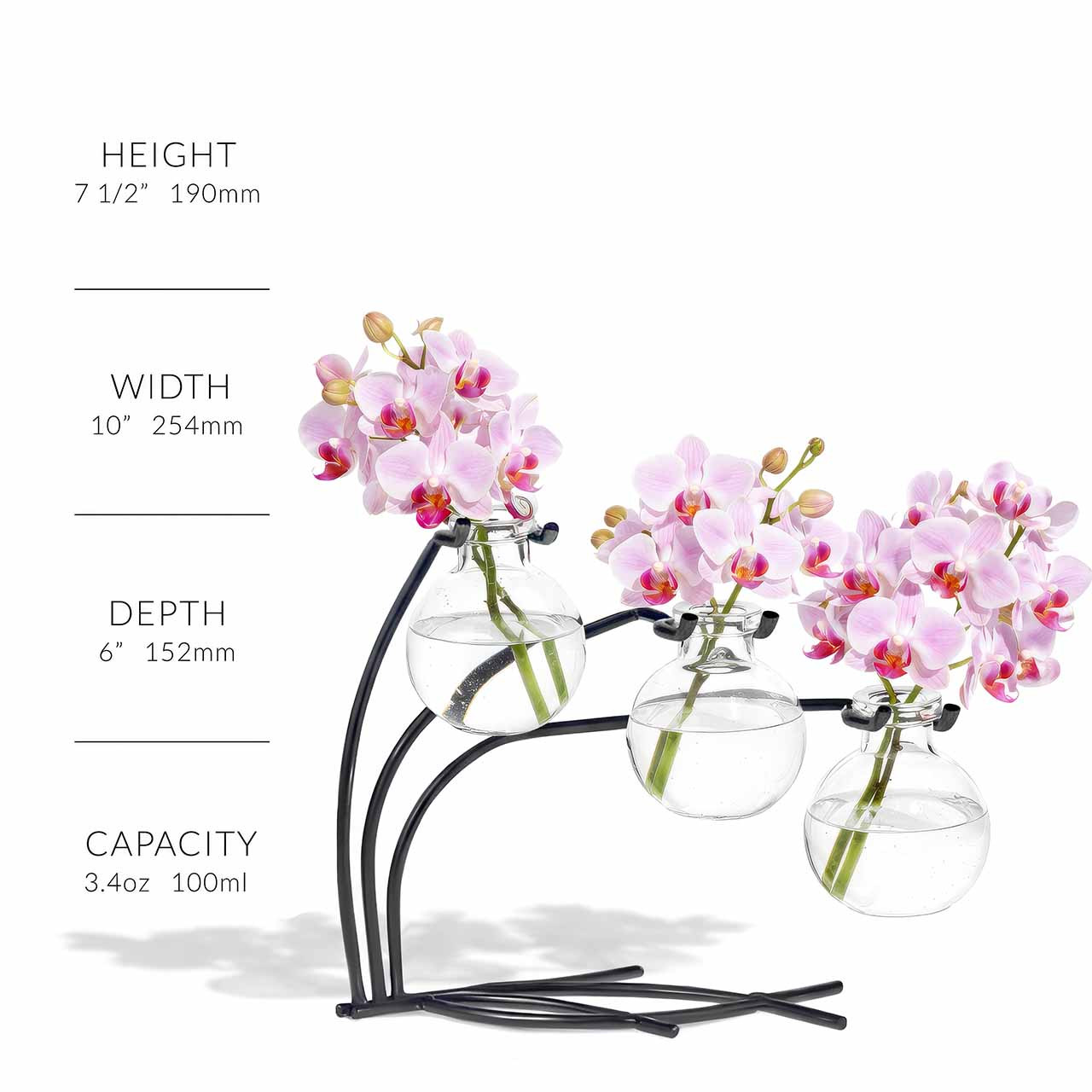 シルバー花瓶 Casablanca D-46395 (E-2507FB24) Casablanca 3 Glass Vases & Metal Stand | Couronne Co Shop