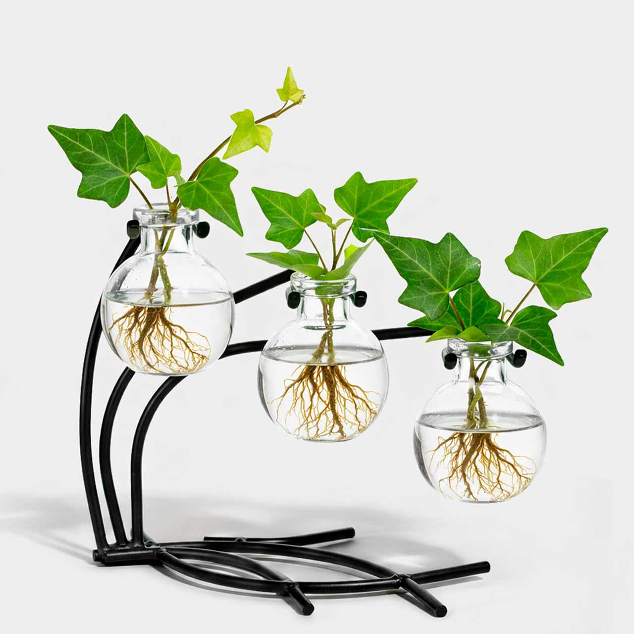 Casablanca 3 Glass Vases & Metal Stand | Couronne Co Shop