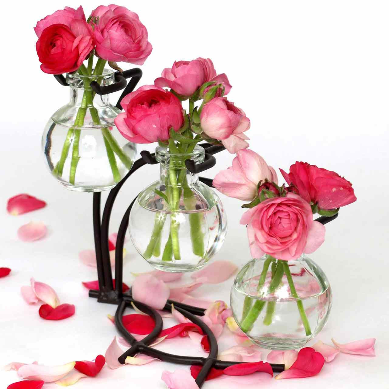 Casablanca 3 Glass Vases & Metal Stand | Couronne Co Shop