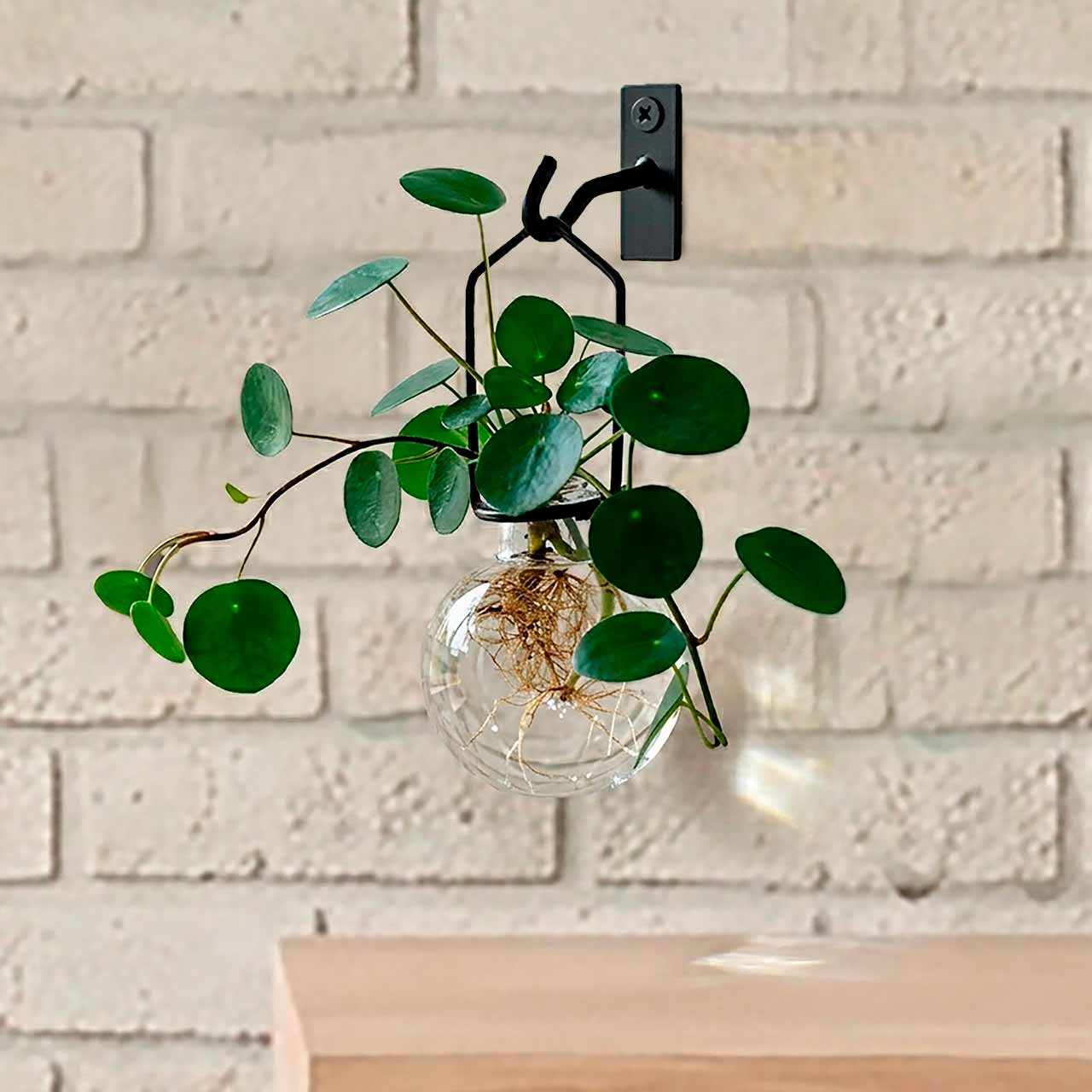 Small Metal Wall Hook