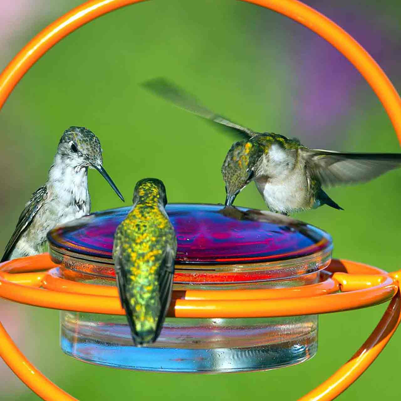 Mosaic Birds Glass Hummingbird Lid Attachment