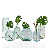 Learn More About the New Spanish Eco-Friendly Products