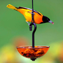 Mosaic Birds Single Hanging Poppy Feeder with Orange Bird
