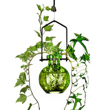 Hanging Small Ball Recycled Glass Rooting Vase with Ivy and Lime Green Plant