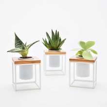 Set of 3 - Costal Pablo Cube White
