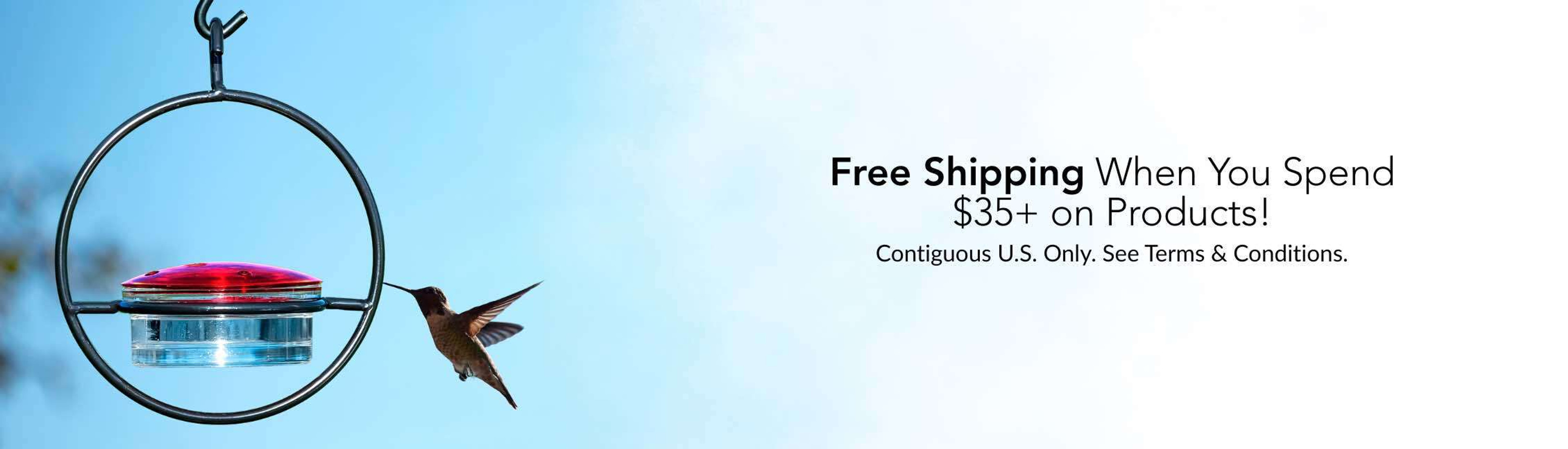 Couronne Co Free Shipping