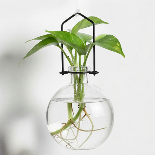 Hanging Propagation Vase, Ball
