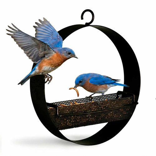 Mosaic Birds Bistro Bird Feeder with Bluebirds