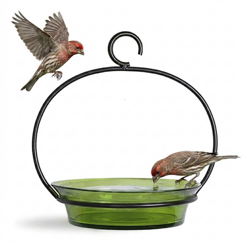 Mosaic Birds Cuban Hanging Bird Bath or Feeder Lime with House Finches
