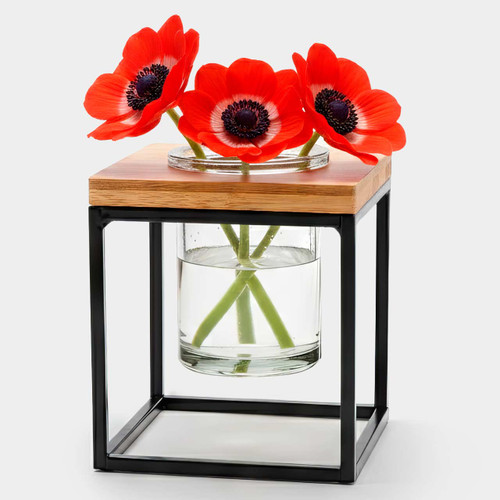 Set of 3 - Classic Pablo Cube Black with Red Anemones