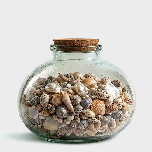 Large Bean Glass Jar, 2.1 gal with Seashells
