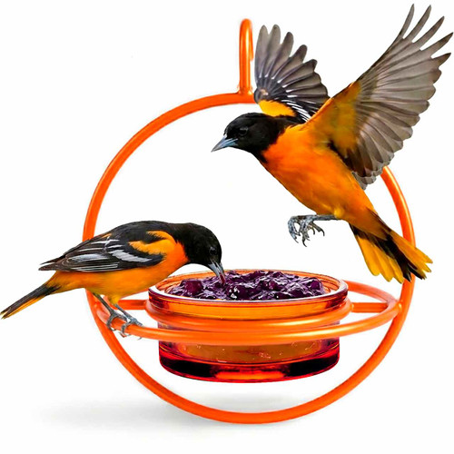 Mosaic Birds Hummble Bold Bird Feeder - Orange with Orioles
