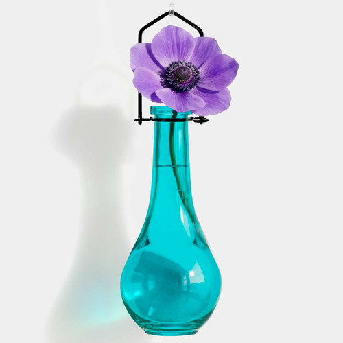 Hanging Propagation Vase, Drop Bottle, Aqua with Anemone