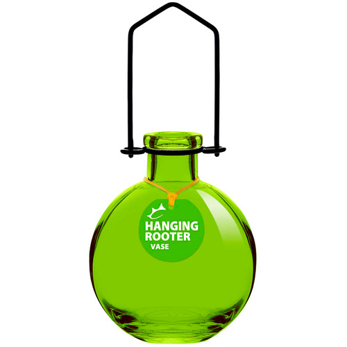 Hanging Ball Recycled Glass Rooting Vase - Lime