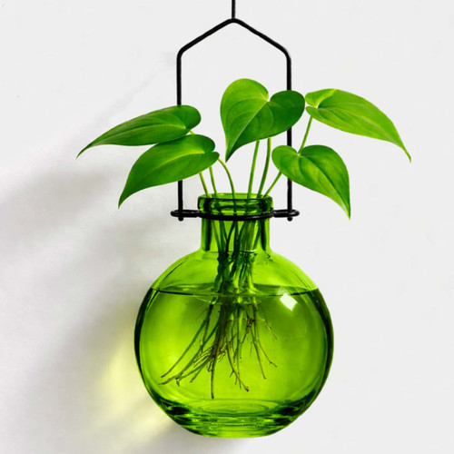 Hanging Propagation Vase, Ball, Lime