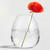Breda Glass Vase with Poppy