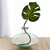 6" Disk Glass Vase with Monstera Leaf
