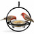Mosaic Birds Hummble Bold Bird Feeder with Finches