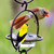 Mosaic Birds Hummble Bold Bird Feeder with Multiple Birds