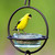 Mosaic Birds Hummble Bold Bird Feeder with Yellow bird and Clear Feeder
