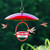 Mosaic Birds Hummble Bold Hummingbird Feeder with Red Cover and Birds