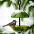 Mosaic Birds Double Hanging Poppy Feeder with Green Feeder