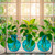Athena Trio Vase Aqua with Pothos 