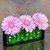 Trivo Three Recycled Glass Vases & Metal Stand with Pink Flowers and Lime Vase