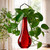 Hanging Propagation Vase, Drop Bottle Red with Pothos in Living Room