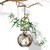 Hanging Propagation Vase, Ball, Clear with Rooting Ivy