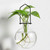 Hanging Propagation Vase, Ball