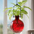 Hanging Propagation Vase, Ball