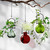 Hanging Small Ball Recycled Glass Rooting Vase Trio with Plants