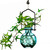 Hanging Small Ball Recycled Glass Rooting Vase with Plant and Aqua Vase