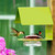 Mosaic Birds Cottage Hummingbird Feeder with Lime Cottage