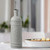 Olive Branch 16oz Recycled Glass Oil or Vinegar Bottle w/ Pour Spout Earth Grey with Place Setting