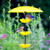 Triple Poppy Feeder with Baffle and Steel Core Rope Yellow with Bluebirds and Mealworms