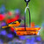 Mosaic Birds Cuban Hanging Bird Bath or Feeder Orange with Oriole and Jelly
