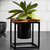 Classic Pablo Cube Black with Black Glass and Succulent