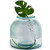 9 1/2" Diamond Recycled Glass Container with Monstera