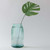 11" Diamond Recycled Glass Container with Monstera