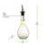 Drop 8oz Recycled Glass Oil or Vinegar Bottle w/ Pour Spout - Clear Dimensions