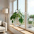 Hanging Propagation Vase, Roma Clear in Living Room